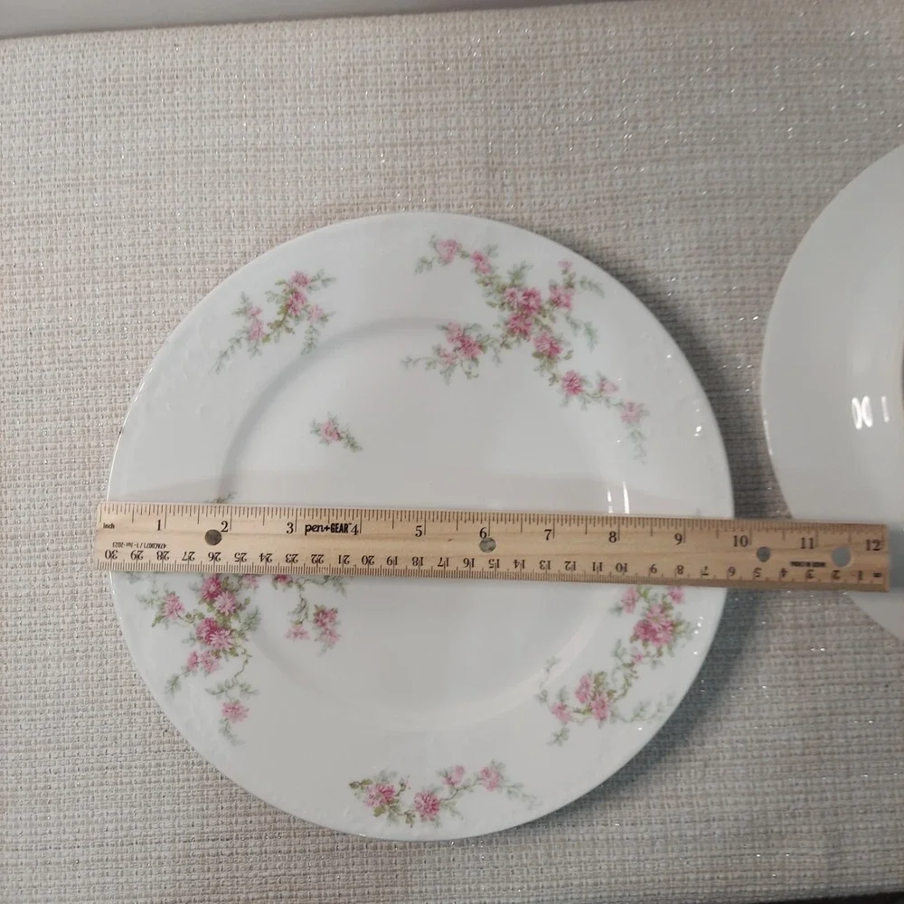 ANTIQUE Theodore Haviland Limoges France Patent Applied 2 Dinner‎ Plates Floral